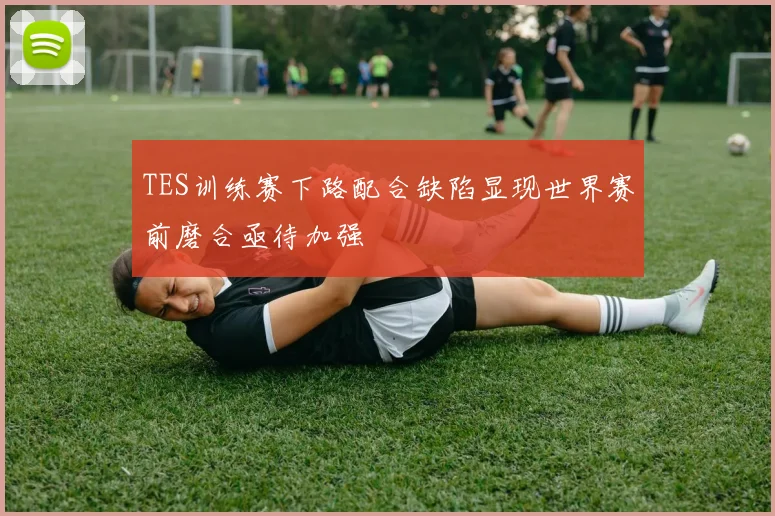 TES训练赛下路配合缺陷显现世界赛前磨合亟待加强
